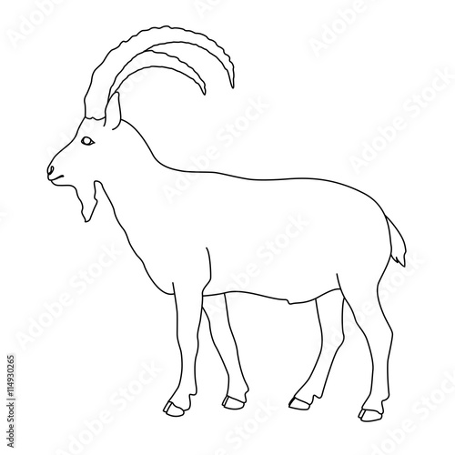 Line Drawing Goat : Quot siberian mountain goat black line drawing stock image