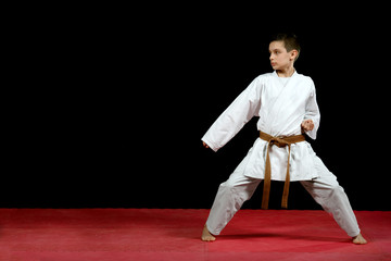 Karate martial Arts