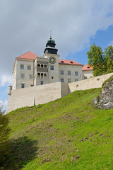Fototapeta na wymiar Castle in Pieskowa Skała