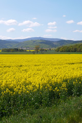 mit Blick auf den Brocken