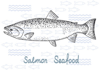 Fish vector salmon