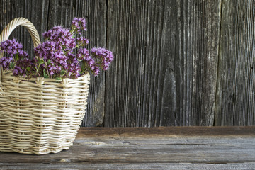 Light wicker basket with a bouquet of blossoming oregano on  dark wooden background