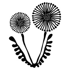 Vector illustration of flower. Hand drawn black dandelion with leaves isolated on the white background. Inc painting.