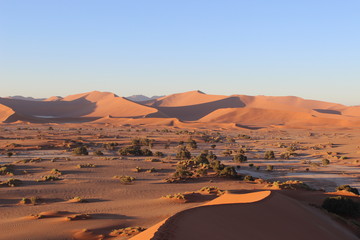 Sand Dunes of Namib Desert, Namibia, Africa