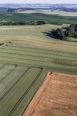aerial view of the harvest fields  morning landscape