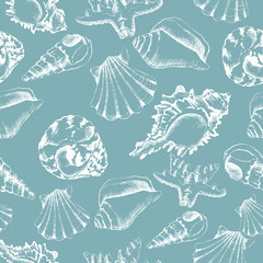 Seamless of hand-drawing style with shells