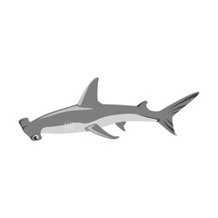 Hammerhead Shark Icon