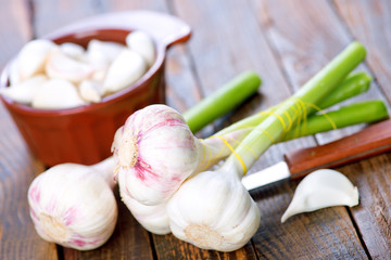 fresh garlic