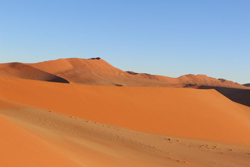 Fototapeta na wymiar Namib Desert Dunes - Sossusvlei