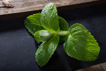 Fresh green mint leaves on chalkboard