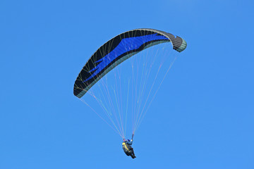 Paraglider