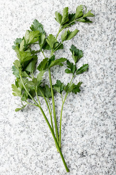 Fresh green parsley on granite background