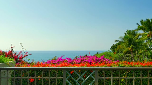 4K Balcony on Tropical Flower Garden Terrace, Ocean View in Background