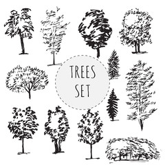 Set of different types hand drawn trees