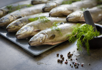 Rainbow trouts on a glass and stone board with herbs and mortar
