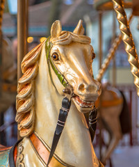 Fototapeta na wymiar Head of horse in a merry go round