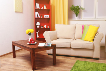 Modern interior design. Living room with sofa and bookcase