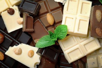 Chocolate pieces with mint leaves, background