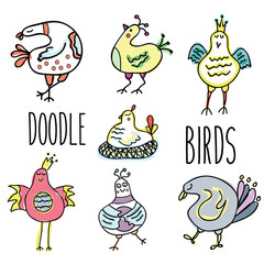 Naklejka premium Doodle birds vector set. Hand drawn, sketch style, isolated design elements
