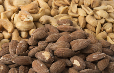 Pile of Nuts - Angled