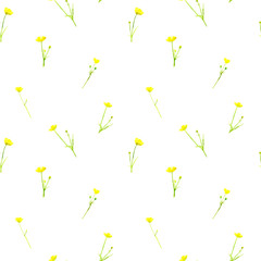 Floral seamless pattern.Colorful floral pattern with wild flowers and herbs on a white background, drawing watercolor.Buttercup flowers.