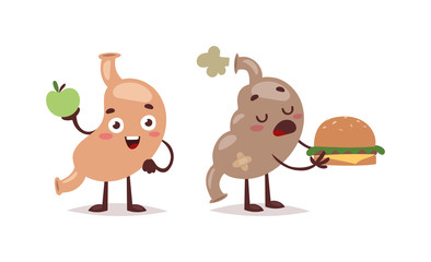 Healthy and unhealthy food vector weight concept. Unhealthy human organ sick stomach healthy and unhealthy food. Diet lifestyle nutrition abdominal distention healthy and unhealthy food.