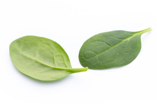 Spinach on the isolated white.