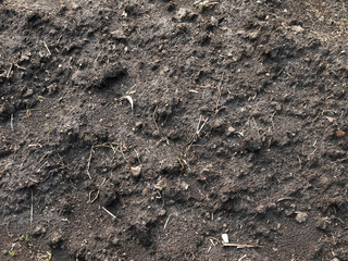 Soil texture