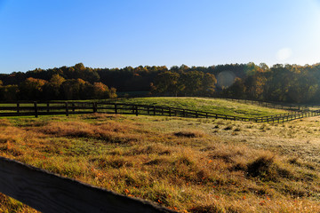 Fall horse farm in Northern Virginia