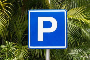 outdoor parking sign in front of he trees