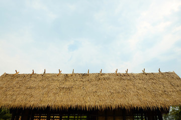 Fototapeta na wymiar Tropical thatched roof