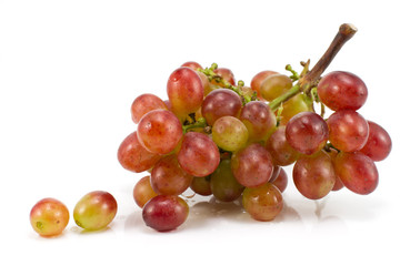 Red grapes isolated