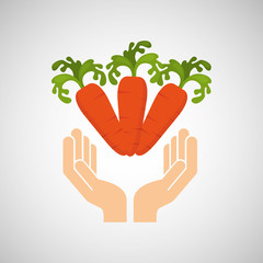 Obraz premium healthy food organic product isolated icon design