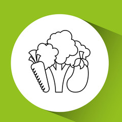healthy food organic product isolated icon design