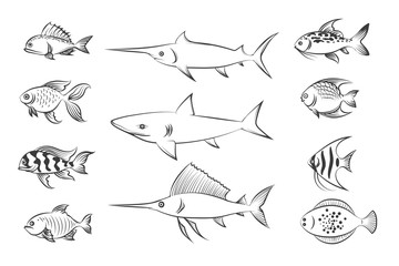 Painted fishes. Shark and swordfish, flounder and carp. Hand drawn fish set vector illustration