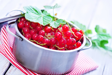 red currant