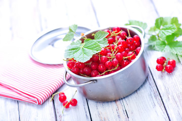 red currant