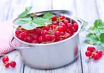 red currant