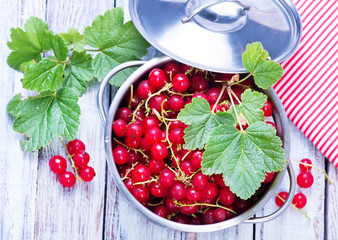 red currant