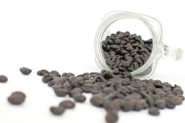 coffee beans isolated