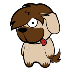 Funny Shaggy Beige Sheepdog Dog