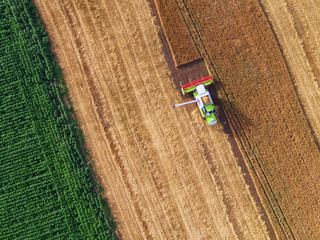 Fototapeta na wymiar Aerial view of combine on harvest field