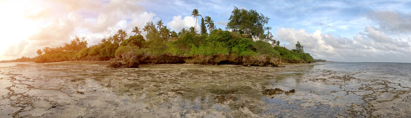 Beautiful palm trees at the beach