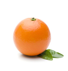 Mandarinen