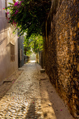 Alleys of Goree Island