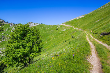Obraz premium Col de la Cochette