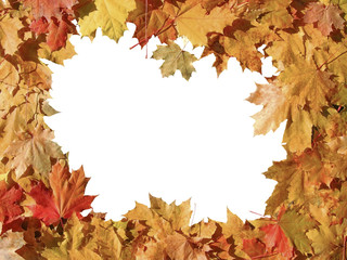 Naklejka na ściany i meble Frame of colorful autumn maple leaves