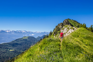 Montée aux Rochers de la Bade, Bauges