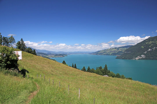 thunersee mit alpen, schweiz