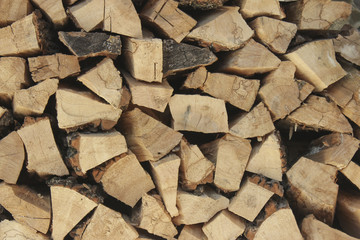Stacked firewood in woodpile